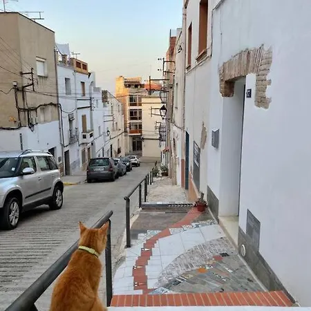 Townhouse - Casa Rustica Entre Mar Y Montana Holiday home *